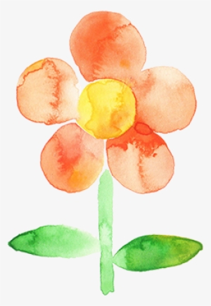 Sofia Tv Flor - Watercolor Paint