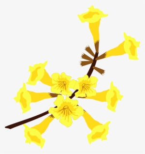 This Free Icons Png Design Of Ipê Amarelo Flor