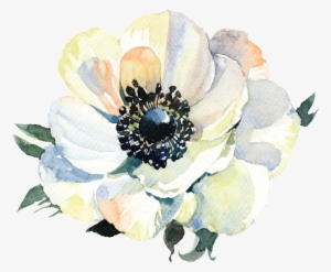 Una Acuarela Pintada A Mano Flor Png Transparente - 花 素材 Png