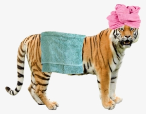 Png Transparent Uncle Grandpa Giant Realistic Flying - Colchester Zoo