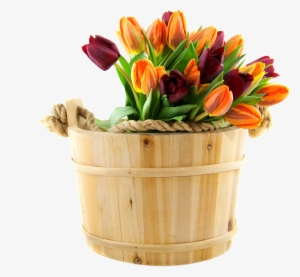 Flor, Png, Vaso - Flower Delivery Fathers Day