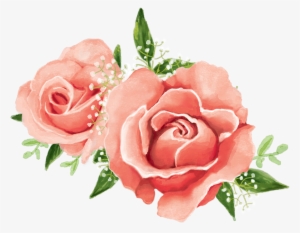 Sherman's 1st Birthday - Garden Roses