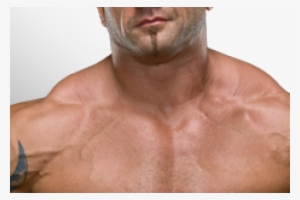 In His First Wwe Match Since 2010, Batista Might Have - Batista