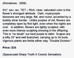 Spacecoast Royal Rumble - Circle