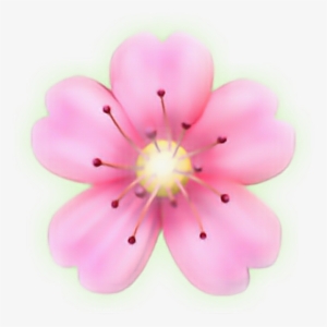 Flower Sakura Emoji  Emojis Rose Sticker Ios Iphone 