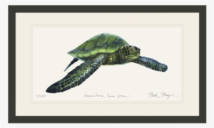 Green Sea Turtle