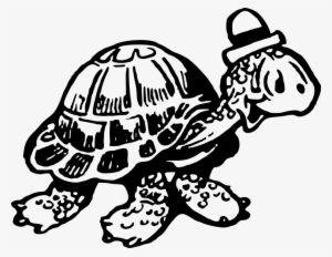 Tortoise Sea Turtle Computer Icons Drawing - Turtle