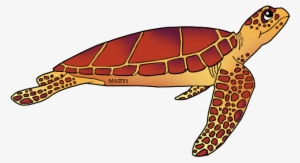 United States Clip Art By Phillip Martin - Kemp's Ridley Sea Turtle Cartoon