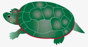 Sea Turtle Clipart Snapping Turtle - Free Clipart Of Turtle