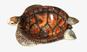 Sea Turtle Sink By Artist Larry Anderson - Hawksbill Sea Turtle