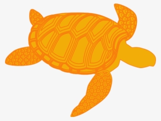 Sea Turtle Clipart Olive Ridley - Turtle Vector Png