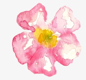 Pink Cherry Blossom Cartoon Transparent - 櫻花 卡通