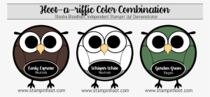 Hoot A Riffic Color Combination Early Espresso, Whisper - Lemon-lime Drink