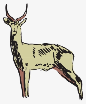 Antelope Green, Drawing, Art, Forest, Horns, Animal, - Animals Clipart