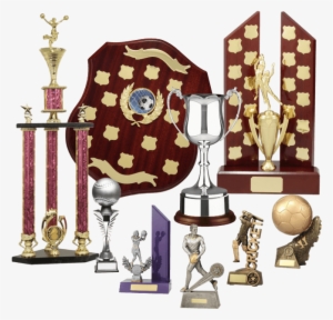 Trophies - Twin Post Perpetual / Cup - 21 Shields 360mm