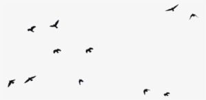 Tumblr Png Hipster Clip Royalty Free - Birds Png