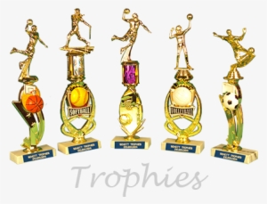 Cool Trophy Styles For All Sports & Music From Schott - Wishgarden Herbs