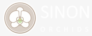 Sinon Orchids Logo - Orchids