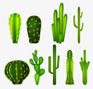 Cactaceae Clip Art - Cactus Graphic Transparent Background