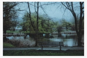 Sinon Is Sitting On A Park Bench Looking Out Over A - Willow