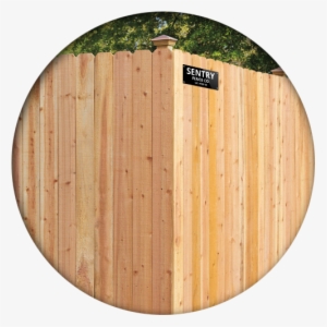 Dog Eared Cedar - California