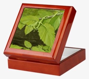 River Birch Leaf Dragon Keepsake Box - Earth Leaf Dragon Curtains