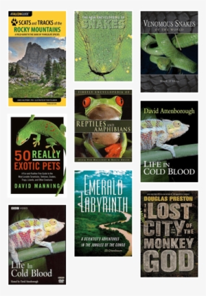 Scats And Tracks Of The Rocky Mountains