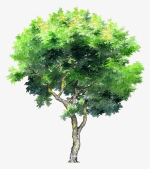 Tree Trees Leafs Greentree Green Ftestickers - Tree Png