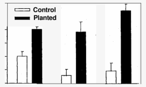 Overall Seedling Densities In The Pen Branch Corridor - Monochrome