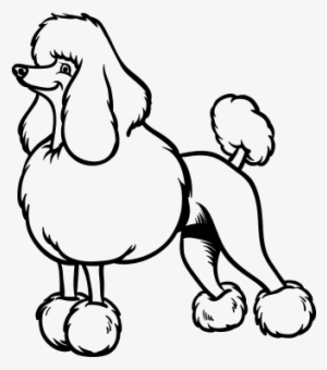 Snooty Poodle Coloring Page - Perro Caniche Para Colorear