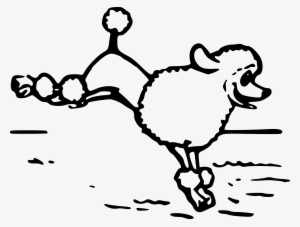This Free Icons Png Design Of A Poodle