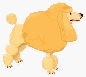 Poodle Dog Vector Png