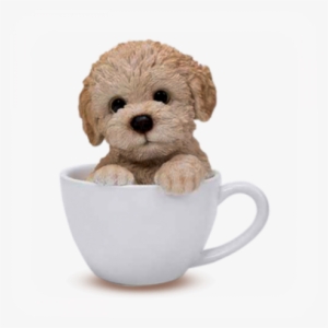 More Views - Teacup Dog Transparent