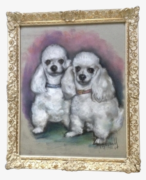 Maxwell, Toy Poodle Dogs Portrait Pastel Painting 1969 - Pastel