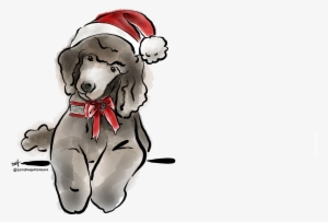 More Information - Dog Catches Something