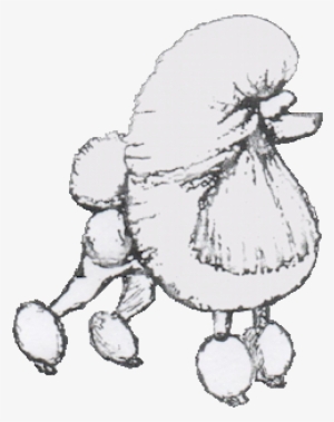 Toy Poodle