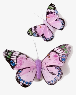 Butterfly Png - Lots Of Butterflies Transparent