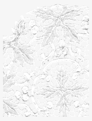 Normal Map Image = Md5 Texture Slot - Lace Opacity Map