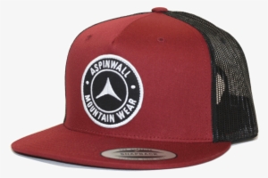 Aspinwall Icon Hat Cardinal 1 - Detroit