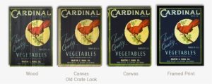 Cardinal - Coquelicot