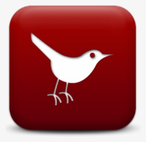 Cardinal - Twitter Bird
