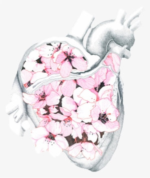 Transparent Png - We Heart It Medicina