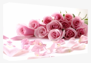 Pink Roses Superb Quality Box Canvas Wrapped Around