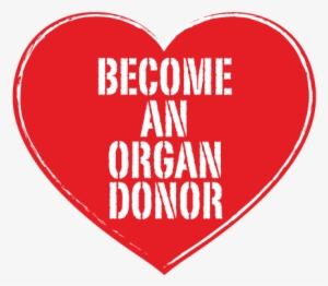 Organ Donor Heart - Organ Donation South Africa