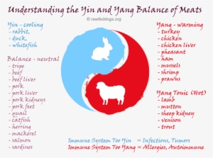 Food Energetics The Yin-yang Balance Of Meats - Yin And Yang Meats