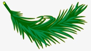 Palm Trees Palm Branch Palm-leaf Manuscript Frond - Palm Frond Clipart