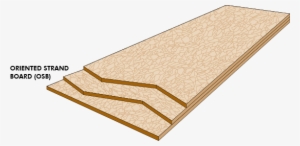 Jpg Library Download Glossary Wood University Oriented - Plywood