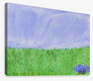 Field Of Grass Canvas Print - Grass