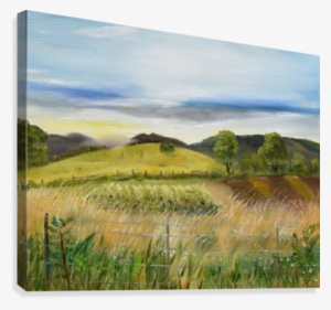 Pasture Love At Chateau Meichtry Canvas Print - Chateau Meichtry Family Vineyard And Winery