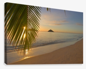 Hawaii, Oahu, Mokulua Islands, Golden Sunrise At Lanikai